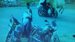 Valsad : સામેથી દોડીને આવતાં આખલાએ એક્ટિવા પર જતી મહિલાને મારી ટક્કર ને પછી..., જુઓ લાઇવ વીડિયો