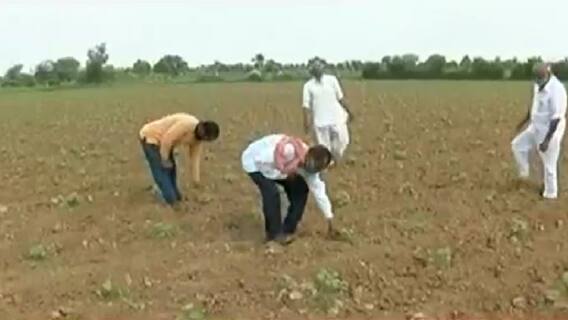 ગાંધીનગર સહિત રાજ્યના તમામ જિલ્લામાં વરસાદ ખેંચાતા ખેડૂતોમાં ચિંતા