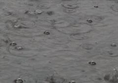 সোমবার পর্যন্ত উত্তরবঙ্গ-সহ একাধিক জেলায় ভারী বৃষ্টির সম্ভাবনা