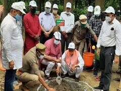 वन महोत्‍सवः सीएम सिटी में लगे 50 लाख पौधे, रमापति शास्‍त्री ने दिया 'वृक्ष लगाओ, कोरोना भगाओ' का मंत्र