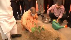Sultanpur दौरे पर CM Yogi, Vrihad Vriksharopan कार्यक्रम में होंगे शामिल