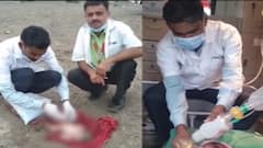 Rajkot: આ ગામમાં નવજાત બાળકીને ત્યજી દેવાના મામલે પોલીસ એક્શનમાં, કોણ બન્યું ફરિયાદી?