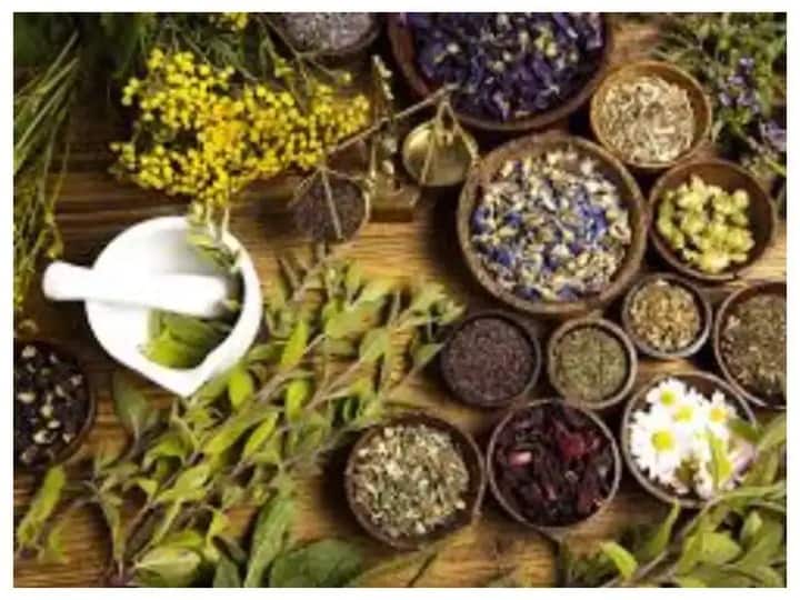 Coronavirus: महामारी के बाद की दुनिया में आयुर्वेद का क्या है महत्व? समझिए Coronavirus:What is importance of Ayurveda in a post-pandemic world? Understand Coronavirus: महामारी के बाद की दुनिया में आयुर्वेद का क्या है महत्व? समझिए