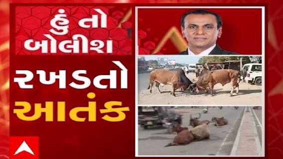 હું તો બોલીશ: રખડતો આતંક