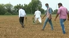 રાજ્યમાં છેલ્લા 3 વર્ષની સરખામણીએ ચોમાસાનો નબળો પ્રારંભ, ખેડૂતોની મહેનત પર ફરશે પાણી?