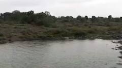 રાજ્યમાં માત્ર બે જળાશયો ભરાયા સંપૂર્ણ, રાજ્યના જળાશયોમાં હાલ કેટલા ટકા છે જળસ્તર?,જુઓ વીડિયો