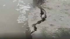 Malda: হরিশ্চন্দ্রপুরে ফুলহার নদীতে ভাঙন, ভিটে হারানোর আশঙ্কায় গ্রামবাসীরা