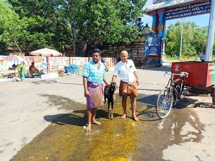 கோயில் வளாகத்தில் கிடாய் வெட்ட அனுமதி இல்லாத காரணத்தால் கோயில் வெளியே கிடாய் வெட்டும் பக்தர்கள்