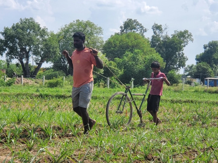 அரசு சைக்கிள் ஏர் ஆனது...  தம்பியும் மகனும் மாடானது.... உழவையும் மாற்றிய ஊரடங்கு!