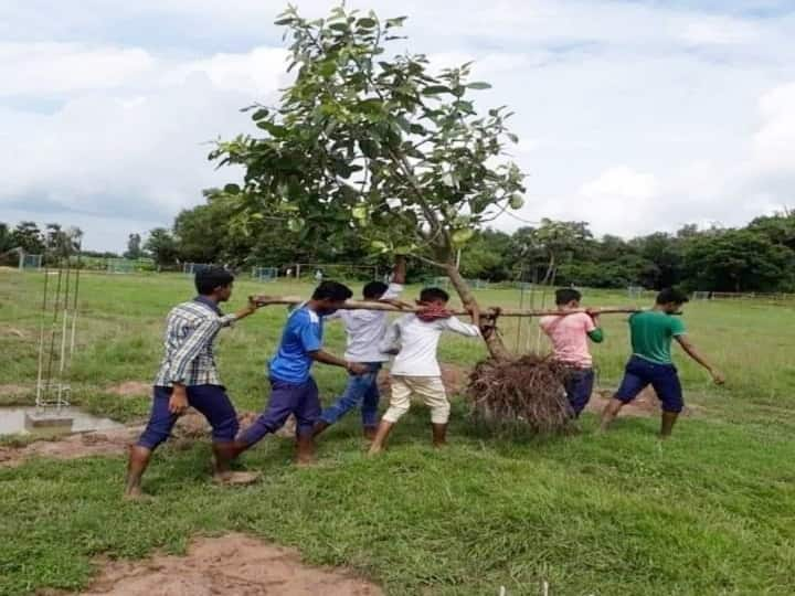 Manual Tree Transplantation by Jharkhand tribal people picture wins hearts of many in twitter 'ஒரு படம் ஆயிரம் வார்த்தைகளுக்கு சமம்'- படம் வைரலாக காரணம் என்ன?