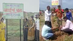 Special Report : गावकऱ्यांचा 'आईचं बन' उपक्रम; झाडं लावण्यासाठी जमवले 4 लाख रुपये