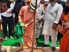 Plantation Drive In UP: योगी सरकार ने बनाया रिकॉर्ड, साढ़े 4 साल में लगाए 100 करोड़ पौधे