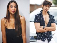 क्या टूट चुका है रोहन मेहरा और अरिया अग्रवाल का रिश्ता? सामने आकर दोनों एक्टर्स ने किया ये खुलासा