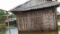 Flood situation grave in Bihar; rescue of two stuck in Motihari river goes viral