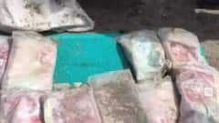 કચ્છના જખૌ દરિયાઈ વિસ્તારમાં પેટ્રોલિંગ દરમિયાન ઝડપાયા ચરસના પેકેટ,જુઓ વીડિયો