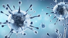 Third wave of Coronavirus to hit India in August 2021: SBI Report