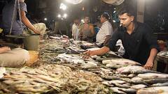 Market EB Vigilance: লাগামছাড়া দাম রুখতে কলকাতার বিভিন্ন বাজারে ইবির অভিযান