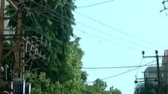 તૌકત વાવાઝોડામાં થયેલા ભારે નુકસાન બાદ PGVCLએ શું કર્યો મહત્વનો નિર્ણય?,જુઓ વીડિયો