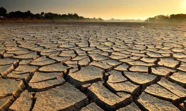 Farmers in Saurashtra are worried about the onset of rains, fearing drying up of other crops, including groundnut and cotton વરસાદ ખેંચાતા સૌરાષ્ટ્રના ખેડૂતોની ચિંતા વધી, મગફળી-કપાસ સહિત અન્ય પાક સૂકાવાનો ભય