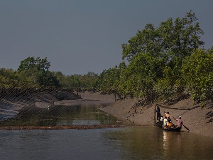 south 24 paragana sunderban forest safari bakkhali restricted to curb corona Sundarban: করোনা থাবা রুখতে সুন্দরবনে বড় পদক্ষেপ, বন্ধ জঙ্গল সাফারি