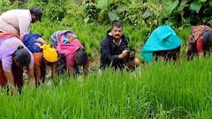 पावसाळी अधिवेशन 202: शेताच्या बांधापासून ते तालिकाध्यक्षांच्या खुर्चीपर्यंत भास्कर जाधवांची कारकीर्द