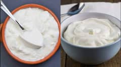 Kitchen Hacks: ઘરે આ રીતે જમાવો માર્કેટ જેવું ઘાટું દહીં, ફોલો કરો આ ટિપ્સ
