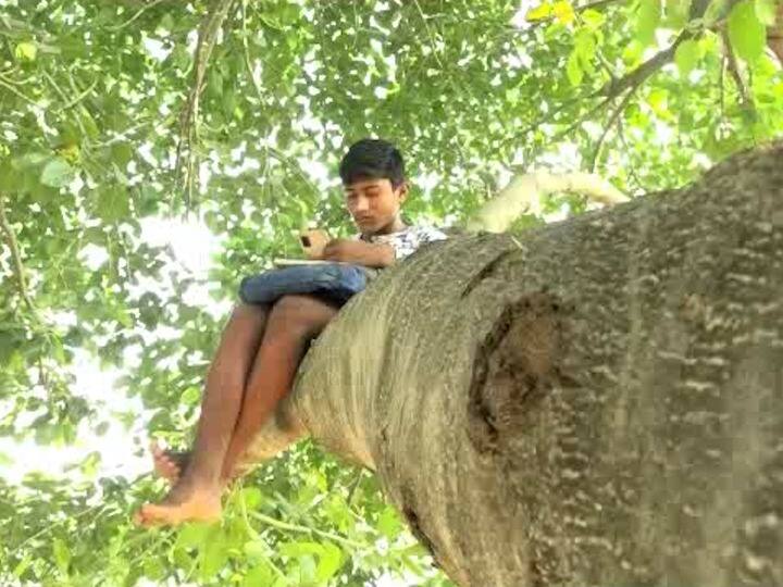 गोंदियाच्या बनगावातील विद्यार्थी स्मशानभूमीतील झाडावर बसून घेतात ऑनलाईन शिक्षणाचे धडे Students from Bangaon in Gondia sit on a tree to take online education classes गोंदियाच्या बनगावातील विद्यार्थी स्मशानभूमीतील झाडावर बसून घेतात ऑनलाईन शिक्षणाचे धडे