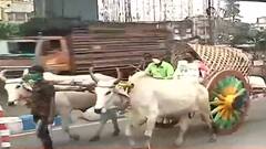 Fuel Price Protest: ঠেলাগাড়িতে বাইক নিয়ে পেট্রোপণ্যের মূল্যবৃদ্ধির অভিনব প্রতিবাদ!