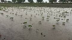 TOP 50 | सकाळच्या 50 महत्त्वाच्या बातम्यांचा वेगवान आढावा | बातम्यांचं अर्धशतक | 07 जुलै 2021