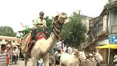 Rural News : गावागावातील बातम्यांचा वेगवान आढावा, तुमच्या गावात आज काय घडलं? माझं गाव माझा जिल्हा