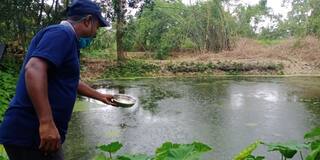 সচেতনতার বার্তা থেকে জমা জলে গাপ্পি মাছ ছাড়া, ডেঙ্গি নিয়ন্ত্রণে উদ্যোগ জেলা স্বাস্থ্য দফতরের