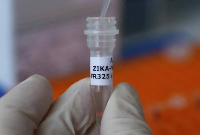 Zika Virus Seven Year Old Girl Found Infected In Maharashtra Palghar District Zika Virus: આ પાડોશી રાજ્યમાં 7 વર્ષની બાળકી ઝિકા વાયરસથી સંક્રમિત થઈ, જાણો ઝિકા વાયરસના લક્ષણો