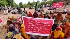 અરવલ્લીઃ મોડાસાના ધોલિયા ગામે ખેડૂતોએ શરૂ કર્યું ગૌચર બચાવો આંદોલન