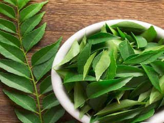 Weight Loss : कडीपत्त्याचा रस वजन कमी करण्यात फायदेशीर, केसांचंही आरोग्य सुधारते