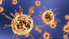 India Corona Update: কমল দেশে দৈনিক মৃত্যু, কিছুটা বাড়ল আক্রান্তের সংখ্যা