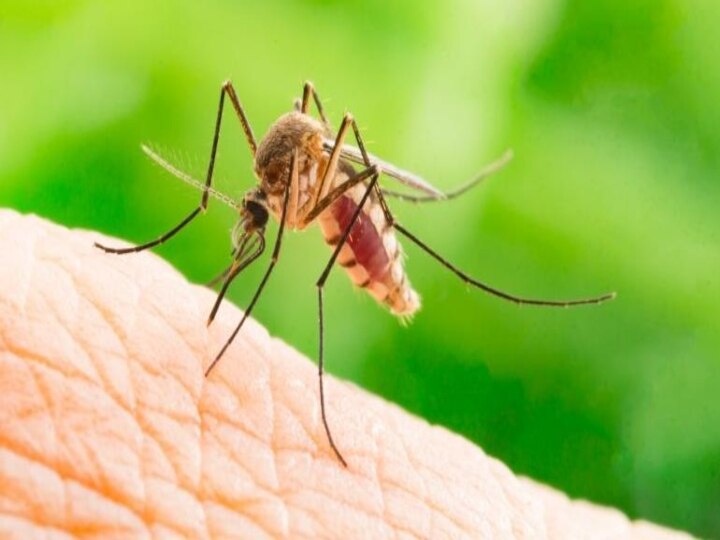 Zika Virus | ஸிகா வைரஸ் ஆபத்தானதா? எப்படி பரவும்? எப்படி தடுக்கலாம்?