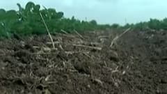 ગરમીનું પ્રમાણ યથાવત રહેતા વીજળીની માંગ પહોંચી ઓલટાઈમ હાઈ સપાટી પર, જુઓ વીડિયો