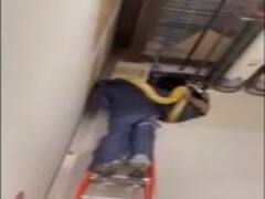 चिड़ियाघर से भागा 12 फीट लंबा अजगर, दो दिन बाद शॉपिंग मॉल में मिला