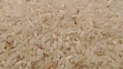 गरीबांच्या तांदळात भ्रष्टाचाराची 'डाळ?' रेशनिंगमध्ये कण्यामिश्रित तांदूळ विकत असल्याचा आरोप