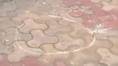 Delhi Firing: Two innocents killed at Bada Hindu Rao Hospital