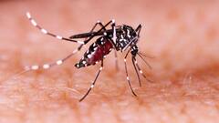 Zika Virus: জিকা ভাইরাস নিয়ে সতর্কতা জারি রাজ্যে, গঠন বিশেষজ্ঞ কমিটিও