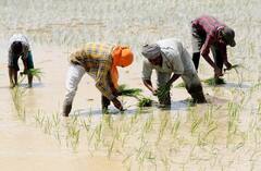 Weather Updates: ਕਿਸਾਨਾਂ ਲਈ ਚੰਗੀ ਖ਼ਬਰ, ਪੰਜਾਬ ਸਣੇ ਇਨ੍ਹਾਂ ਰਾਜਾਂ 'ਚ ਕੱਲ੍ਹ ਤੋਂ ਮੌਨਸੂਨ ਦੀ ਦਸਤਕ