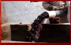 ਸੰਗਰੂਰ ਦੇ ਖੇਤਾਂ 'ਚੋਂ ਨਿਕਲ ਰਿਹਾ ਲਾਲ ਰੰਗ ਦਾ ਪਾਣੀ, ਆਖਰ ਕੀ ਹੈ ਇਸ ਦੀ ਵਜ੍ਹਾ