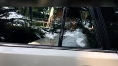 New Delhi : ऊर्जामंत्री नितीन राऊत यांनी घेतली सोनिया गांधी यांची भेट, भेटीमागचं कारण अद्याप अस्पष्ट