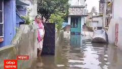 Rain Effect: বৃষ্টি হলেই হাঁটুজল, ঘরে বিষাক্ত পোকামাকড়, জল-যন্ত্রণায় দিন কাটাচ্ছে খড়দার খড়বাগানবাসী