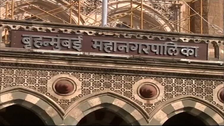 BMC informed Mumbai High Court total 2773 fake vaccination cases have been registered in Mumbai  BMC : लसीच्या नावाखाली केवळ 'सलाईन वॉटर' टोचलं!, मुंबई महापालिकेची हायकोर्टात माहिती