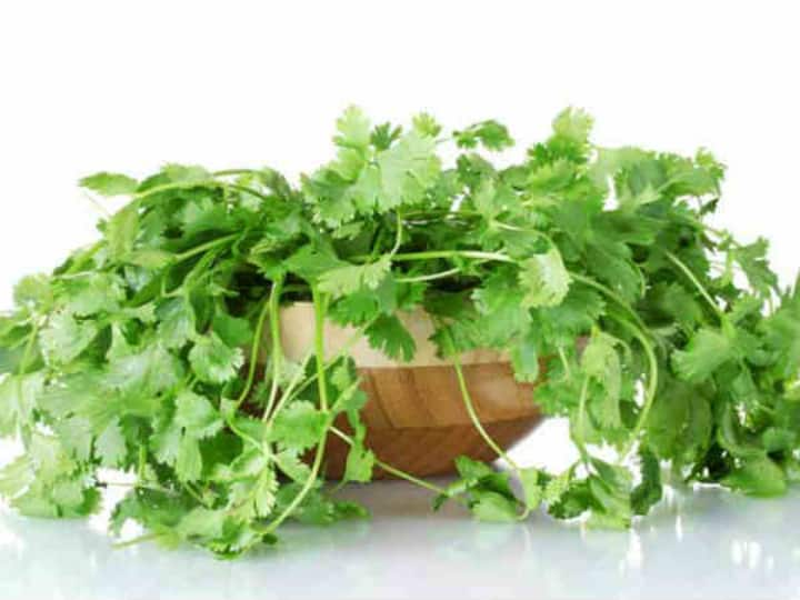 Coriander not only enhances the taste of vegetables it is a boon for health Health Tips: ਸਿਰਫ ਸਬਜ਼ੀ ਦਾ ਸੁਆਦ ਹੀ ਨਹੀਂ ਵਧਾਉਂਦਾ ਧਨੀਆ, ਸਿਹਤ ਲਈ ਹੁੰਦਾ ਵਰਦਾਨ, ਫਾਇਦੇ ਜਾਣ ਕੇ ਹੋ ਜਾਓਗੇ ਹੈਰਾਨ