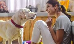 ஆண்டிரியாவின் ’ஜான் ஸ்னோ’...அனுஷ்காவின் ’டூட்’... நடிகர்களின் செல்ல நாய்கள் : புகைப்படங்கள்