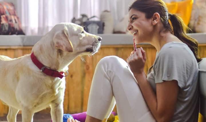 அனுஷ்கா சர்மாவின் லேப்ரடார் ’டூட்’