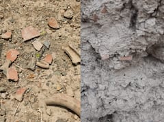 Exclusive : इतिहासाच्या पाऊलखुणा! जळगाव जिल्ह्यातल्या यावलमध्ये आढळले हजारो वर्षांपूर्वीचे पुरातत्वीय अवशेष